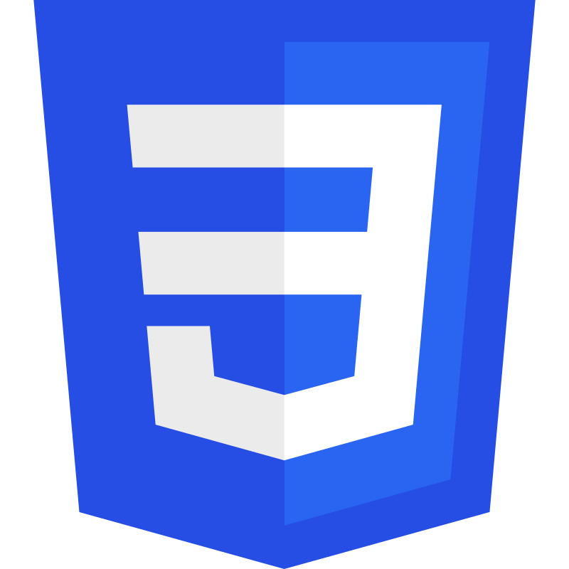 CSS Logo