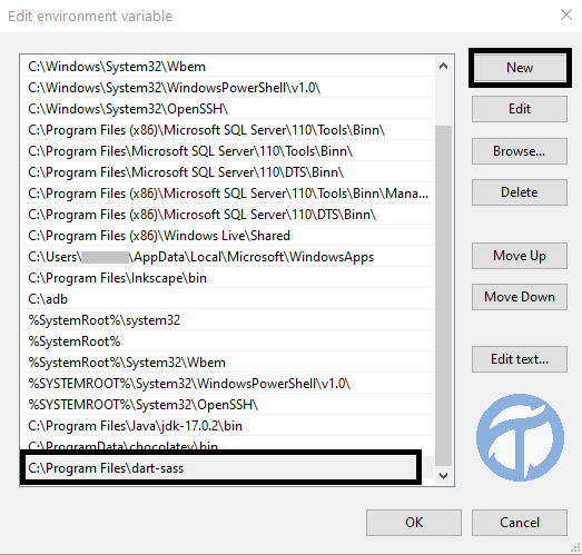 Dart Environment Variables - Path
