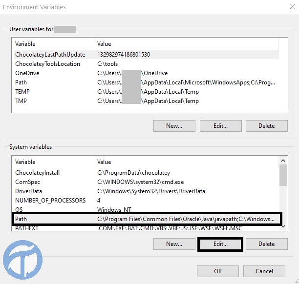 Dart Environment Variables - System